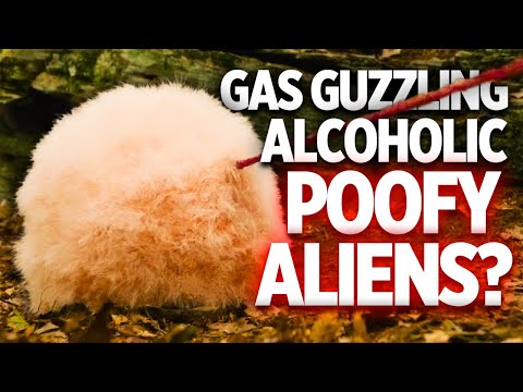 The Ethanol Aliens in Poof Explored | What are They REALLY?