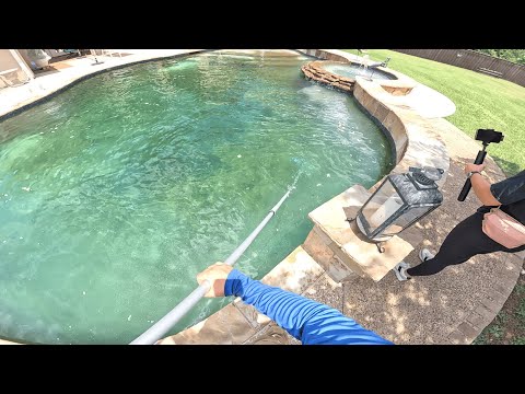 POV Layer upon layer of algae in this pool! Should I have just drained it?