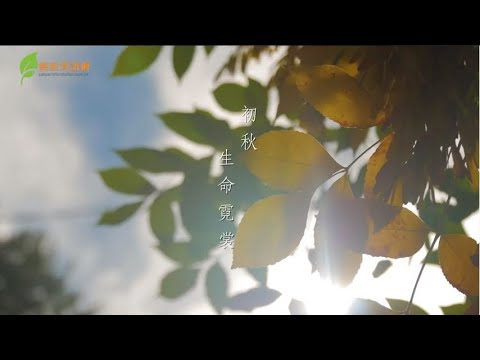 生死教育- 「心路」 初秋 、 生命霓裳 (ep3) | 范寧醫生