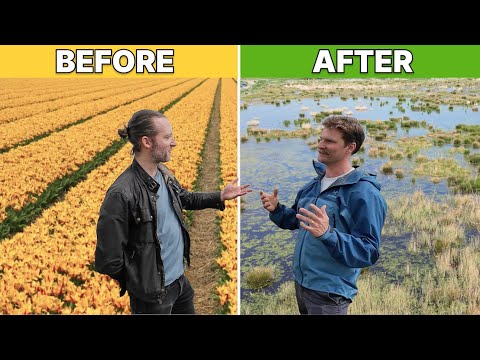 Restoring Paradise: From Daffodils to Thriving Wetlands (with Nattergal)