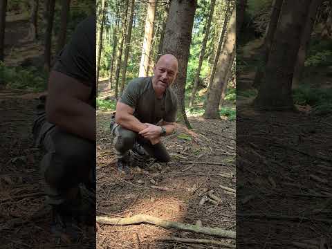 Neues stealthcamping Video 15.08.25