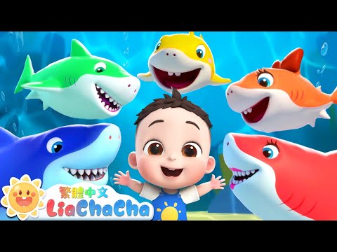鯊魚律動遊戲🦈 | 一起唱鯊魚歌 | 啟蒙教育 | 國語童謠 | 人氣兒歌 | LiaChaCha 依娜和恰恰 - 繁體中文 - 兒歌童謠