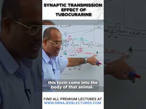 Synaptic Transmission Effect of Tubocurarine  #drnajeeblectures #drnajeeb #youtubeshortsvideo