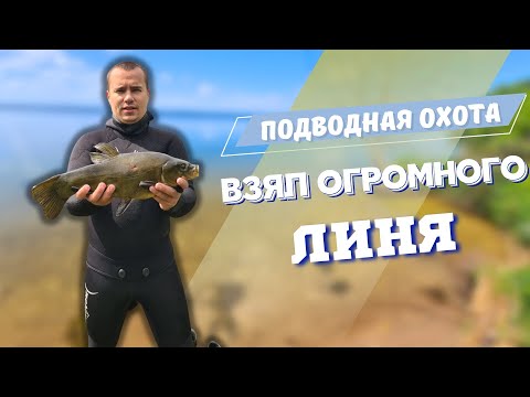 подводная охота. Взял огромного линя.