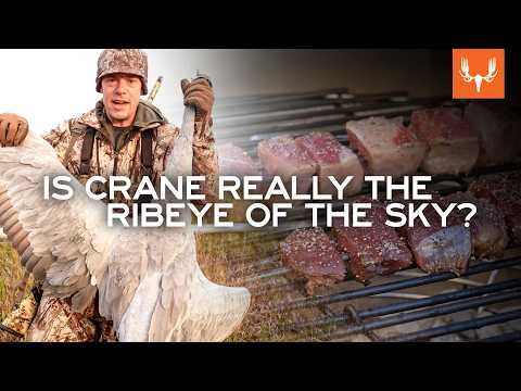 Is Sandhill Crane as Good as Ribeye Steak? | with Steven Rinella