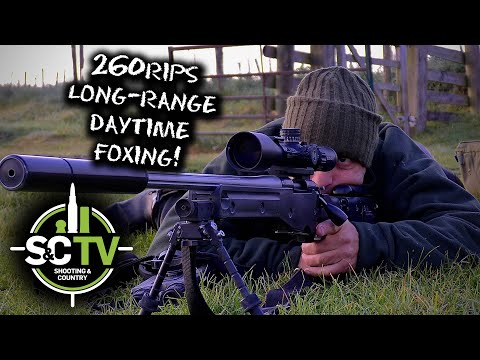 S&C TV | Foxing with Mark Ripley 260RIPS, 13 | Long-range daytime foxing!