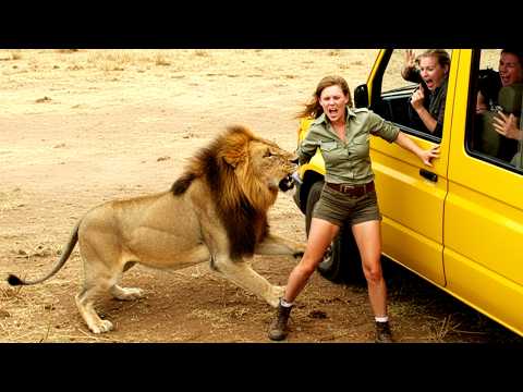 Incredible Safari Moments Caught on Camera