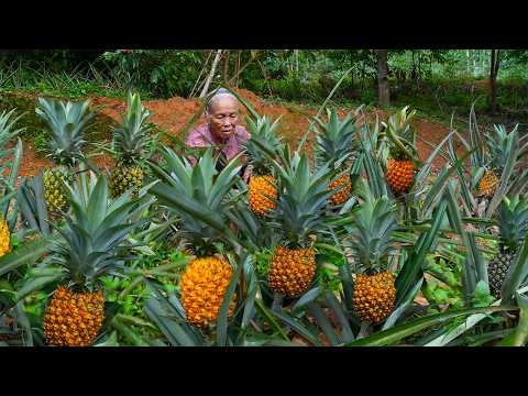Grandma uses wild pineapple to make traditional food
