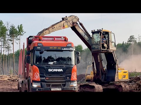 Ехал на УЖМАН, приехал на АЯН. Леса нет.