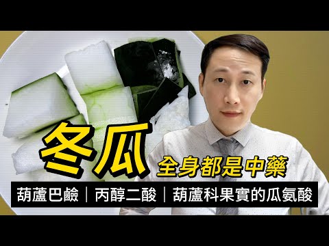 冬瓜，在葫蘆科中營養優勢，冬瓜皮如何食才有益？中醫講冬瓜全身都是藥？點解被認為減肥食材？