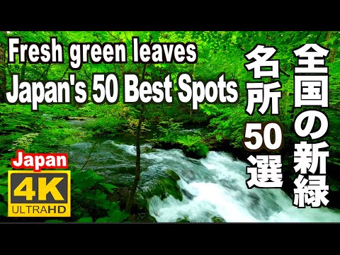 全国新緑の名所50 Best fresh greenery Japan 全国の新緑 青紅葉 名所 初夏 青もみじ 京都 奥入瀬 上高地 Nature Fresh greenery 絶景