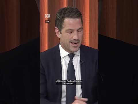 Antic bristles and says Angus Taylor must follow One Nation's 'blueprint' | 7.30