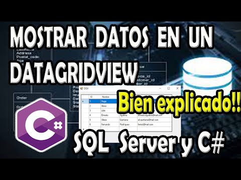 How to Display Data in a DatagridView Using C# and SQL Server (Well Explained)