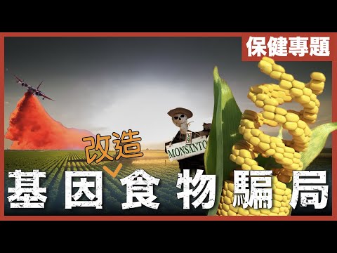 [不是陰謀論]超級市場都是他的產品－孟山都｜沒有後代的種子、原子彈、橙劑、除草劑、奶牛激素、代糖都係佢造！｜中文字幕