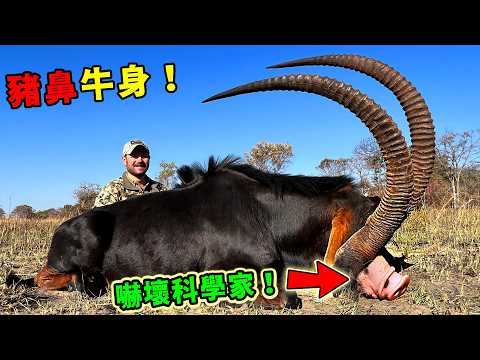 非洲最奇怪的十大生物！在水裡會被淹死的魚只排第8，第一名長著豬鼻牛身，看一眼就嚇昏！