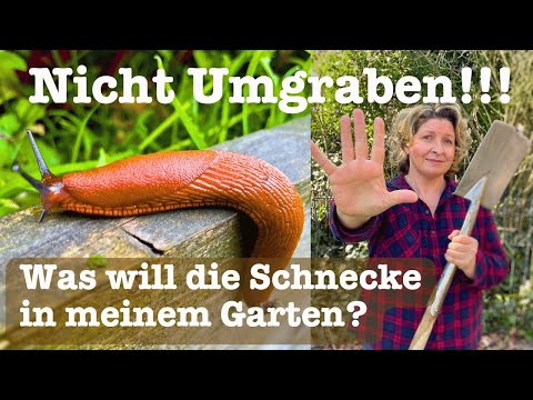 #83  🐌 Nicht umgraben und was hat das mit der Schnecke im Garten zu tun?  🐛