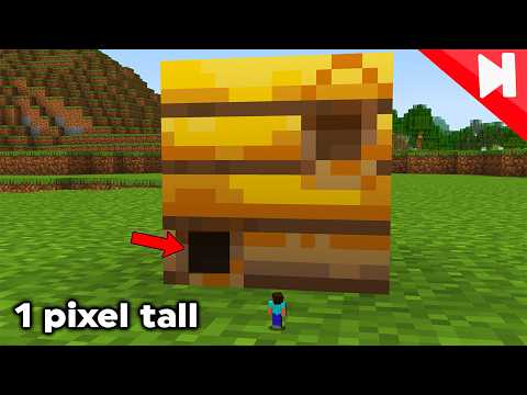 The Absolute Smallest Things in Minecraft!