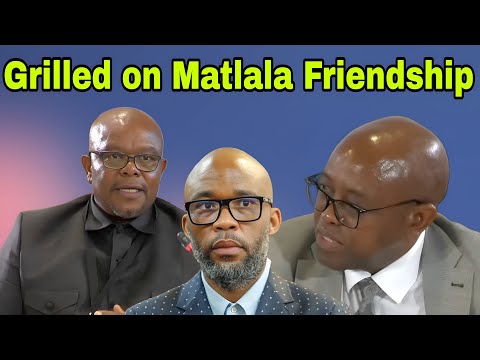 Commissioner Madlanga Grilling Senona about friendship with Cat Matlala.
