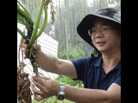 20201109 施肥者的覺醒- 土壤專家給常見農業土壤的終極診斷書《農民食堂開飯了》