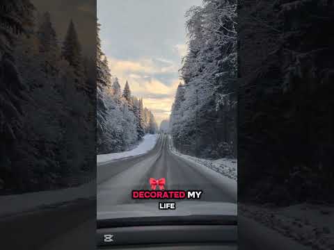 When Winter and Snow Meets The Sunshine, Beauty is Born Out Of Trees! #Winter #winterdrive