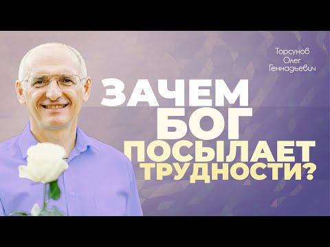 Почему Бог посылает нам трудности? (Торсунов О. Г.)