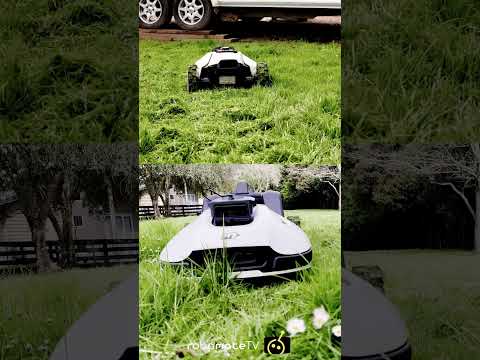 Beast of a robot lawnmower!