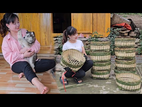 20-day compilation video about the work of a girl named Binh in rural Vietnam