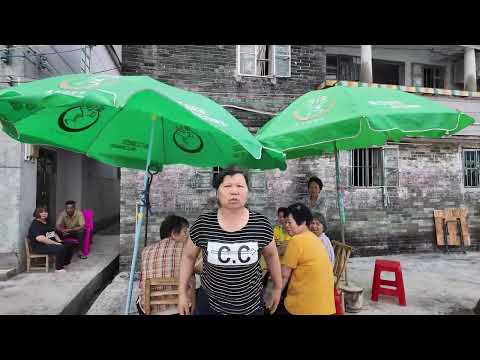 台山百曉：今日分享視頻拍攝地點是台山市四九鎮松頭鄉龍安村，時值初夏，臨近端午，天氣變化陰晴不定，時而天朗氣清，時而烏雲蔽日！探訪村莊真是要看好時辰再出門，一不小心落湯雞😂#taishan #台山