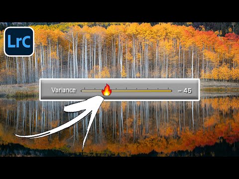 Lightroom Just Fixed a Problem We’ve All Ignored