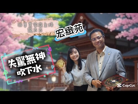【宏緻苑】《失驚無神睇風水》 #文師傅 #紫薇同學 #宏緻苑 #綠置居 #啟德 #九龍灣 #玄學 #風水 #大環境  #玄寶軒 #風轉豐 #房協居屋2025