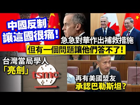 中國反制讓這國很痛！急急對華作出補救措施，但有一個問題讓他們答不了！/台灣當局學人「亮劍」/再有美國盟友承認巴勒斯坦？