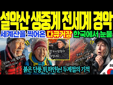 (해외감동사연)영국 다큐 거장. 설악산 두계절의 기적에 무릎꿇은 이유