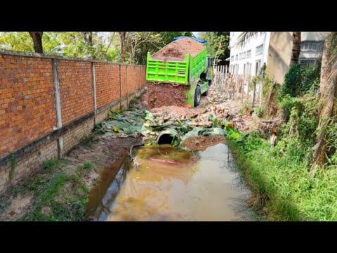 Excellent Starting Perfect New Project Delete Water In Canal by Mini Bulldozer Pushing, Dump Truck U
