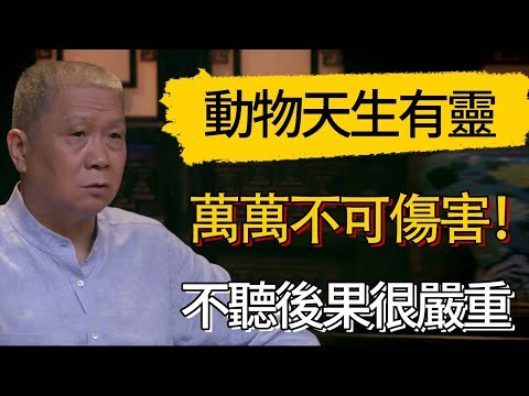 有三種動物天生有靈性，萬萬不可傷害！中國農村老傳統，不聽後果很嚴重！ #觀復嘟嘟 #馬未都 #圆桌派 #观复嘟嘟