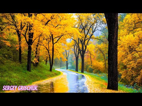 Гуляет Осень в тишине — лучшая песня про осень🍂 Последняя музыка Сергея Грищука.