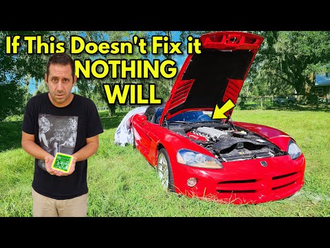 This is Our LAST Option to Bring the Dead Flood Viper Back to Life