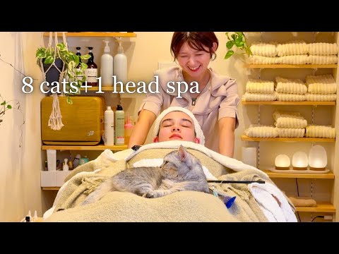 Japan's Fairy Tale Head Spa in Village with 8 Cats and 1 Owner (ASMR)