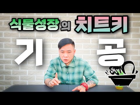 식물 성장이 몇배로 빨라지는 원리 ! 기공을 알면 가능해집니다