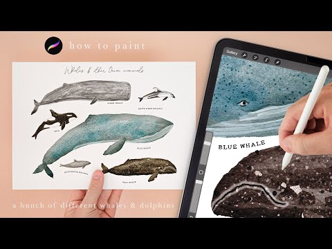 paint whales and dolphins with me 😁 Illustration tutorial. Procreate tips and tricks for beginners