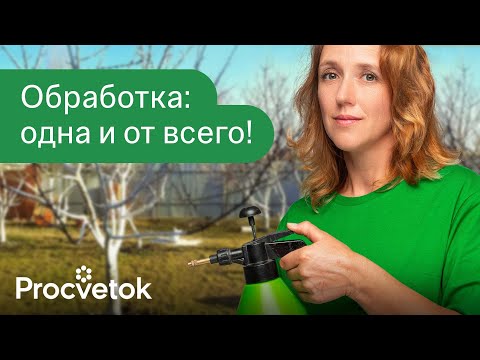 ОДНА ОБРАБОТКА САДА ОТ БОЛЕЗНЕЙ, ВРЕДИТЕЛЕЙ И ЛИШАЙНИКОВ! Забытый, но очень мощный рецепт 19 века