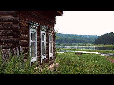 My humble life in the taiga. Bears, wood grouse, a vegetable garden. Pine cone jam.
