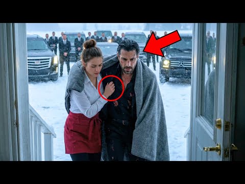 She Shelters A Freezing Mafia Boss, Next Morning 500 SUVs Stops Outside Her Door