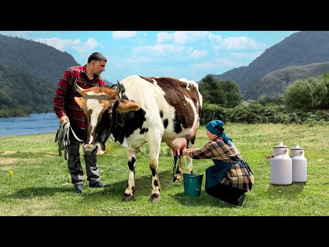 Faraway Village Vibes: Whipping Up Delicious, Rustic Dishes 🐄