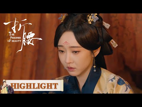 EP23 --part 2｜Highlight Collection |  [The Prisoner of Beauty]