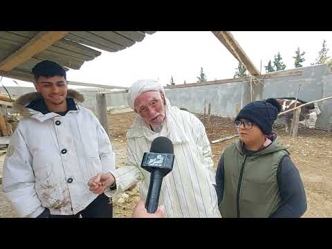 تيارت  الحاج عمر سليمان شيخ في ال 90 من عمره لازال يخدم الارض