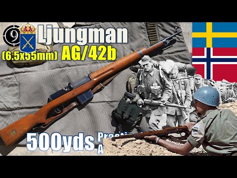 Ljungman AG/42b [Swedish 🇸🇪 WW2 Battle Rifle] to 500yds: Practical Accuracy