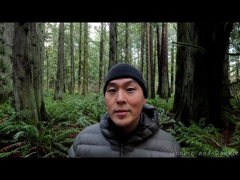 The Bread's Too Expensive And Circuses Too Fake To Not See The Collapse Around Us