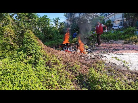 The Sidewalk Caught Fire – Should We Really Be Doing This While Cleaning Up the Overgrown Pavement?