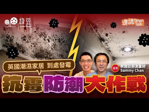 《邊講BeanTalk》｜英國冬天抗霉全攻略，專家教你遠離潮濕與黴菌！【中文字幕】