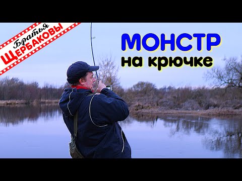 Дроп-шот и джиг в половодье. МОНСТР на крючке. Нежнейший ШАШЛЫК из ГОВЯДИНЫ на берегу реки